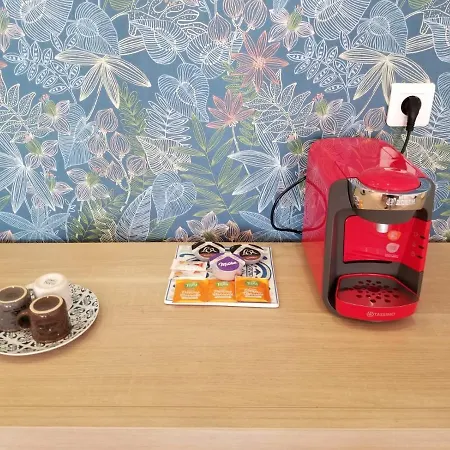 Superbe T3 Avec Parking Et Terrasse En Plein Centre-ville * Lourdes